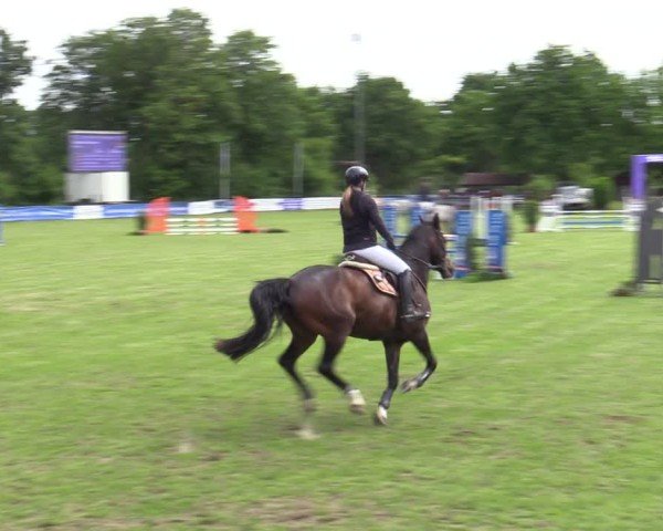 Reitturnier Scharnebeck 2025
