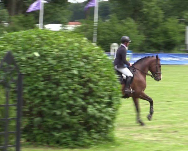 Reitturnier Scharnebeck 2025
