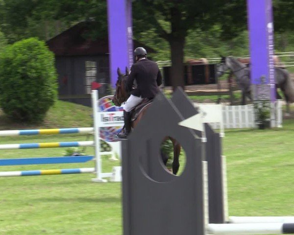 Reitturnier Scharnebeck 2025