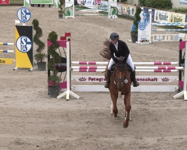 Reitturnier Kirchhellen/Stall Dieckmann 2025