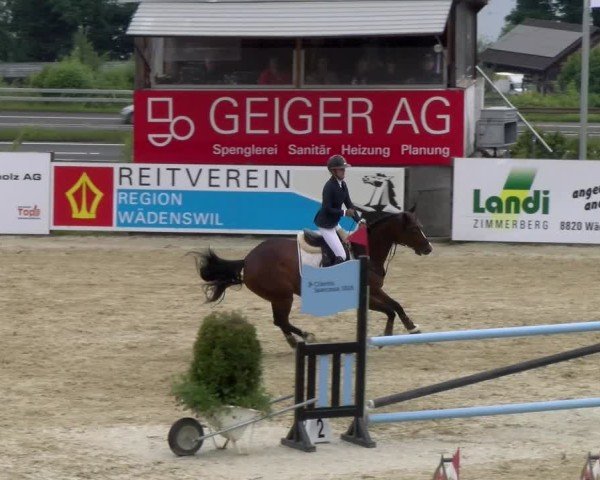 Reitturnier Wädenswil 2025