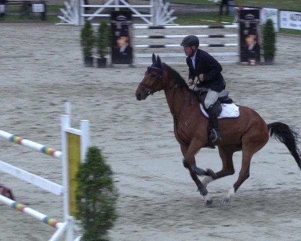 Reitturnier Hamm-Rhynern 2025