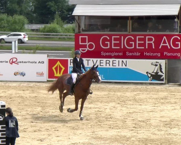 Reitturnier Wädenswil 2025