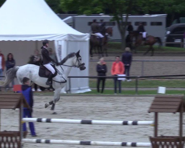 Reitturnier Hamm-Rhynern 2025