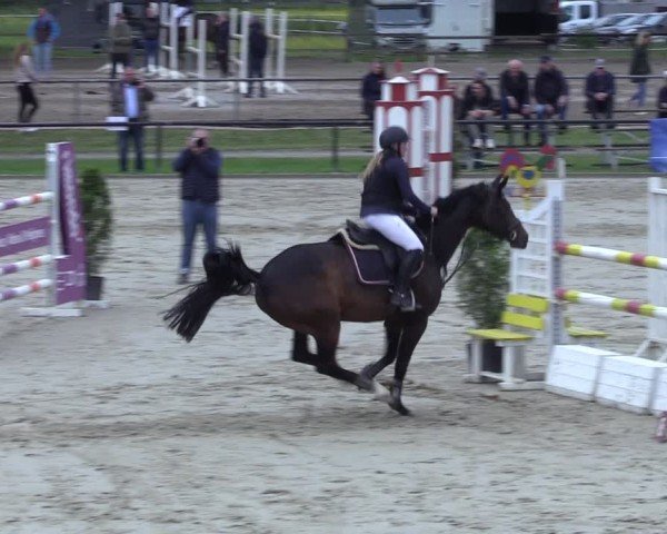 Reitturnier Hamm-Rhynern 2025