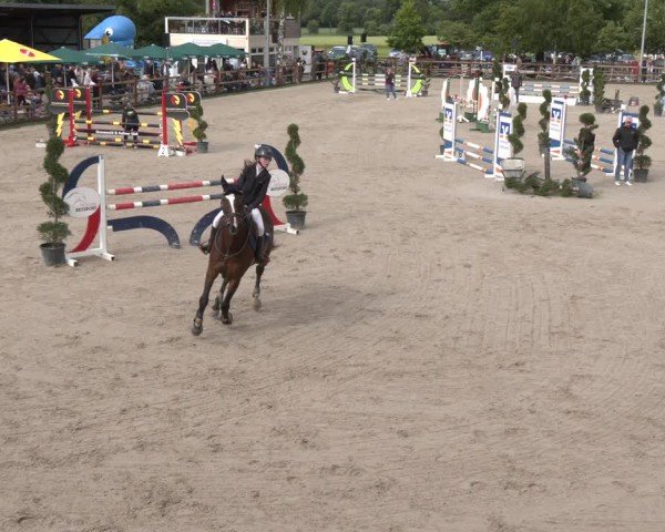 Reitturnier Kirchhellen/Stall Dieckmann 2025