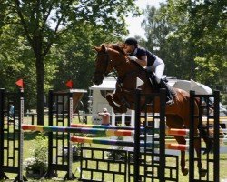 jumper In Time 10 (Hanoverian, 2008, from Iberio)