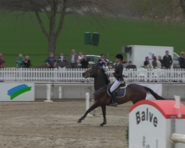 Balve-Wocklum Regio 2014