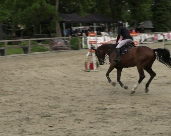Reitturnier Ruhlsdorf 2025