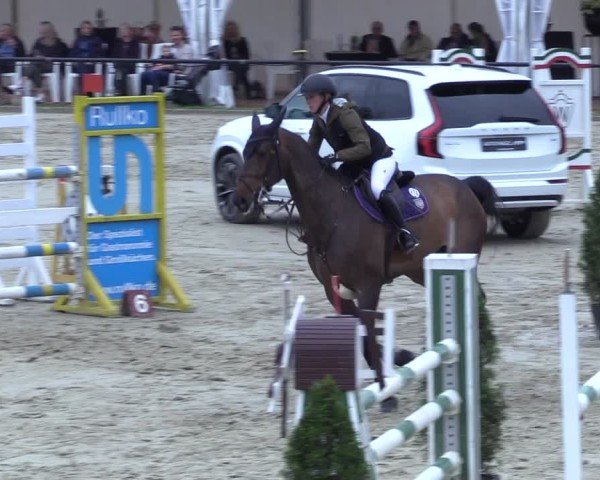Reitturnier Hamm-Rhynern 2025