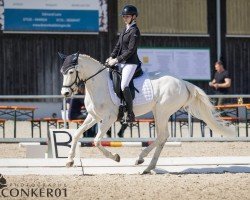 jumper Sissi 902 (Pony without race description, 2014)