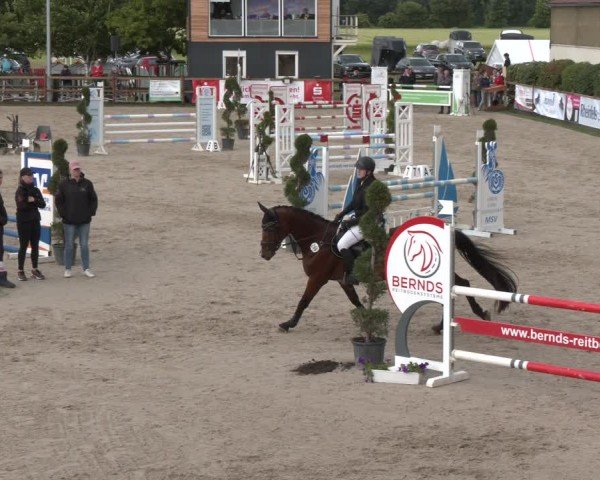 Reitturnier Kirchhellen/Stall Dieckmann 2025