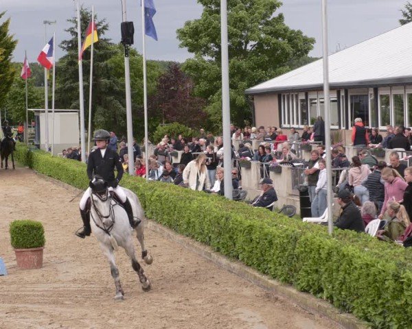 Reitturnier Bornheim-Widdig 2025