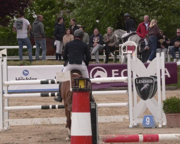 Reitturnier Bornheim-Widdig 2025