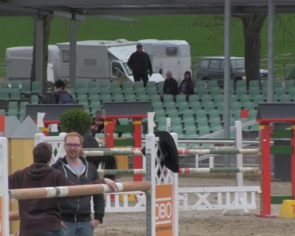 Balve-Wocklum Regio 2014