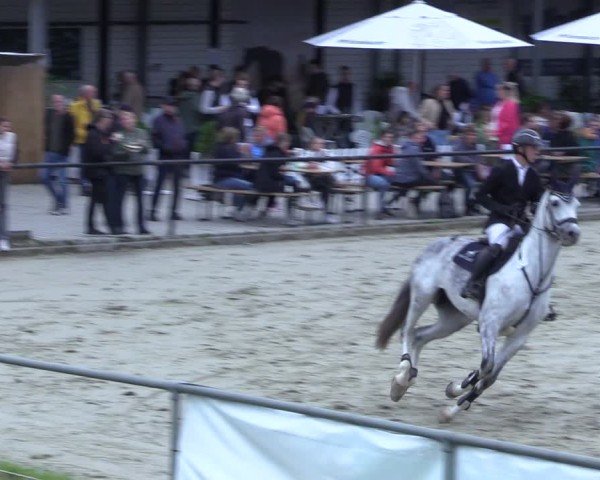 Reitturnier Hamm-Rhynern 2025