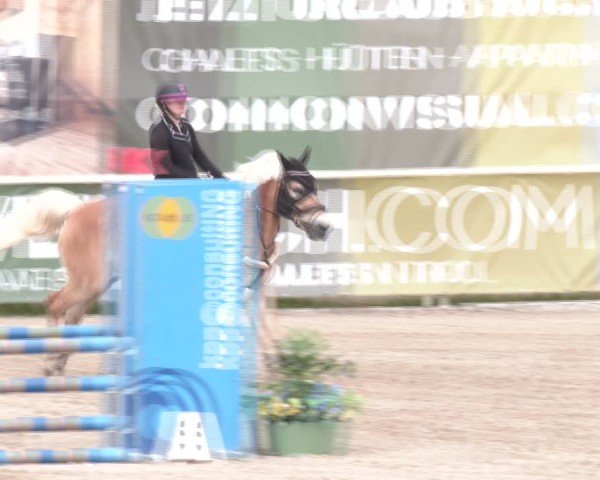 Reitturnier Lassee 2025