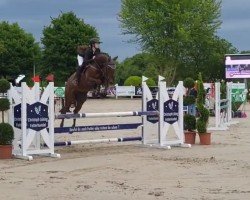 Springpferd Bacardi Choc (Westfale, 2019, von Blue Hors Baron)