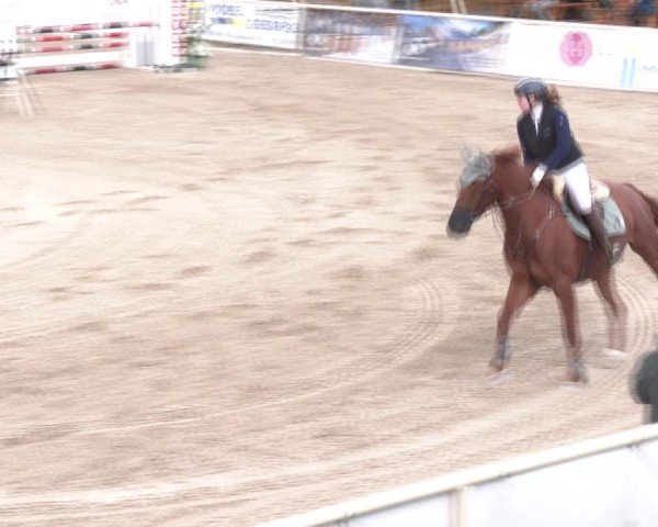 Reitturnier Lassee 2025