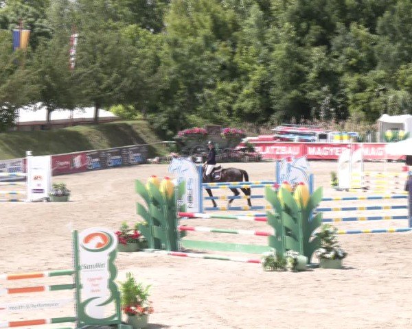 Reitturnier Lassee 2025