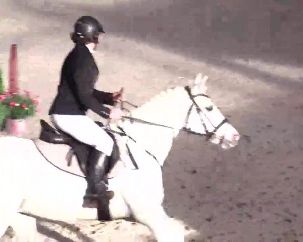Hallenspringturnier Xanten - Reitanlage Miß 2014