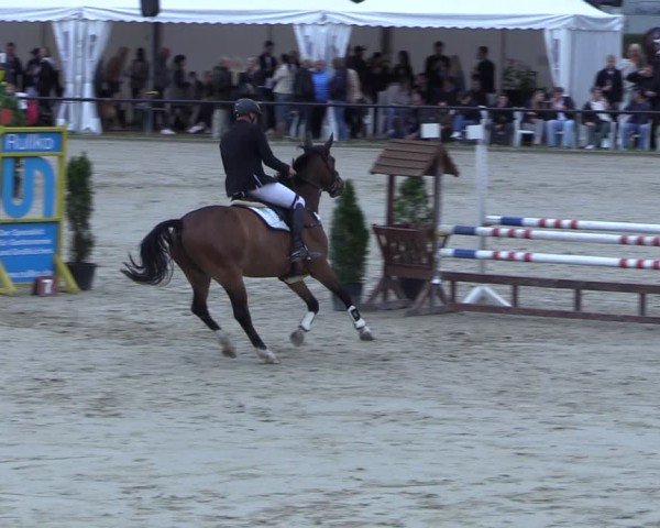 Reitturnier Hamm-Rhynern 2025