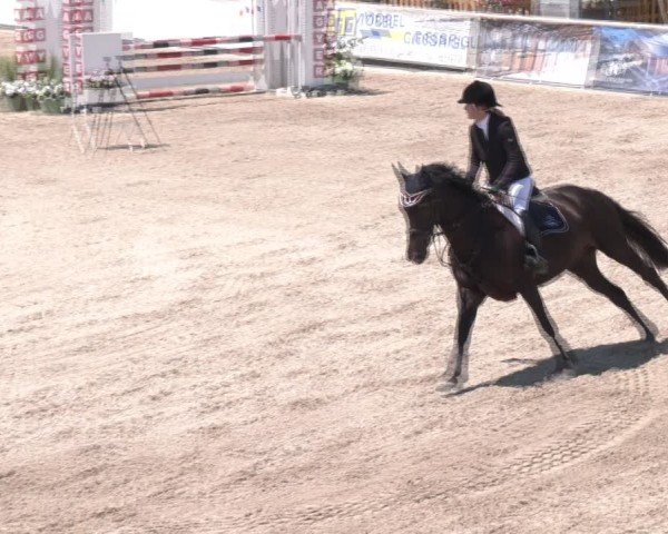 Reitturnier Lassee 2025