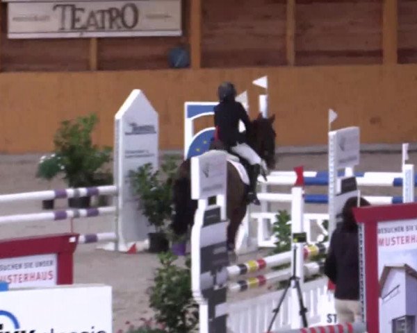 Hallenspringturnier Xanten - Reitanlage Miß 2014