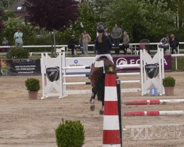 Reitturnier Bornheim-Widdig 2025