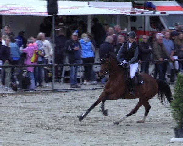 Reitturnier Hamm-Rhynern 2025