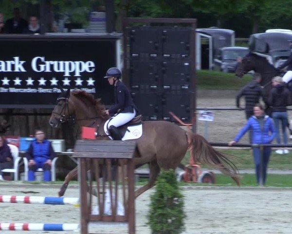 Reitturnier Hamm-Rhynern 2025