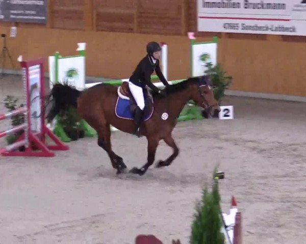 Hallenspringturnier Xanten - Reitanlage Miß 2014