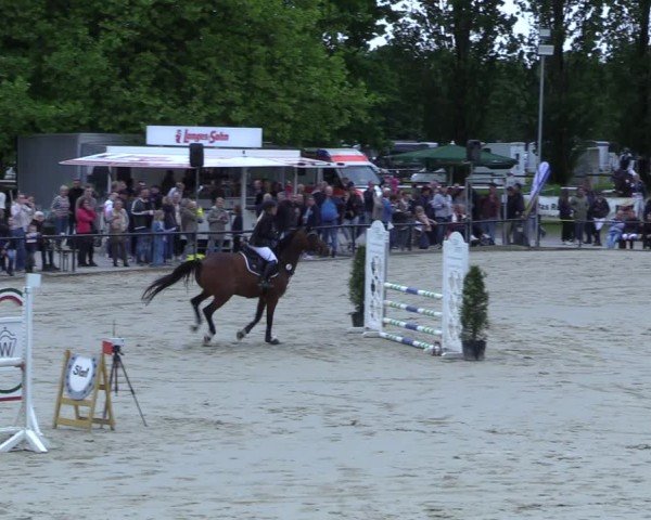 Reitturnier Hamm-Rhynern 2025