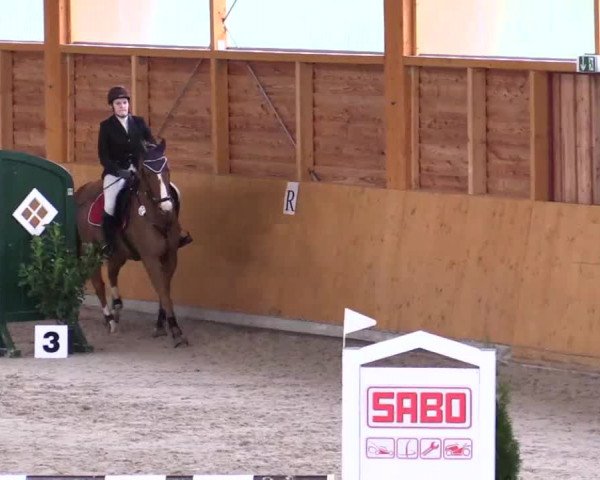 Hallenspringturnier Xanten - Reitanlage Miß 2014
