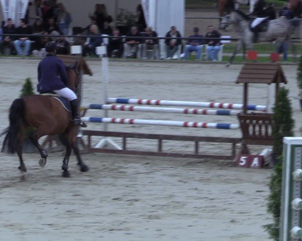 Reitturnier Hamm-Rhynern 2025