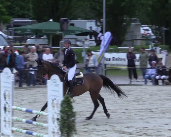Reitturnier Hamm-Rhynern 2025
