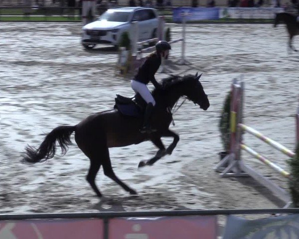 Reitturnier Hamm-Rhynern 2025