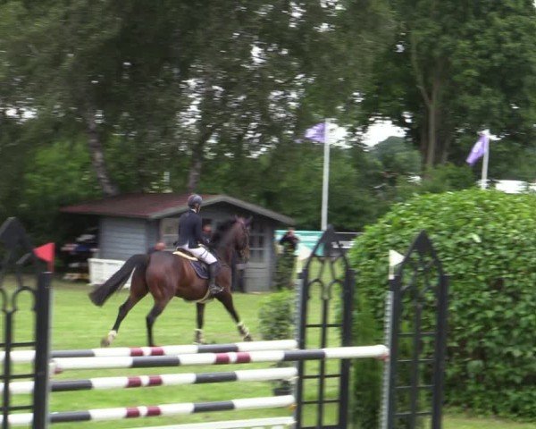 Reitturnier Scharnebeck 2025