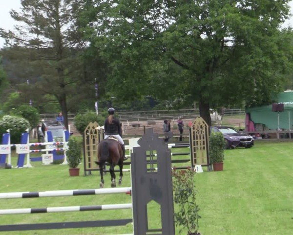 Reitturnier Scharnebeck 2025