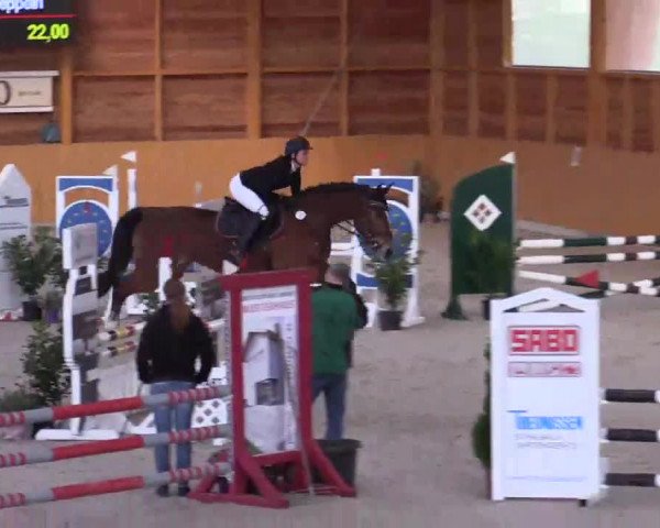 Hallenspringturnier Xanten - Reitanlage Miß 2014