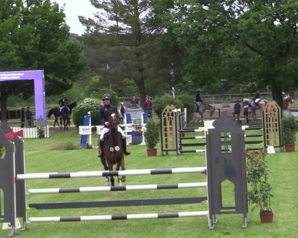 Reitturnier Scharnebeck 2025