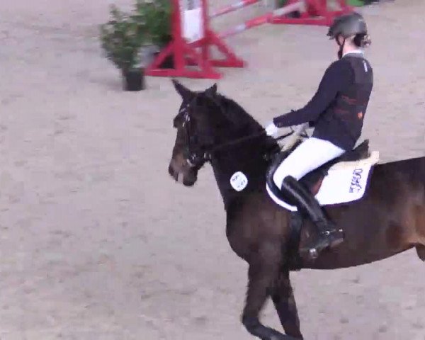Hallenspringturnier Xanten - Reitanlage Miß 2014