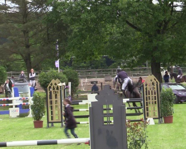 Reitturnier Scharnebeck 2025