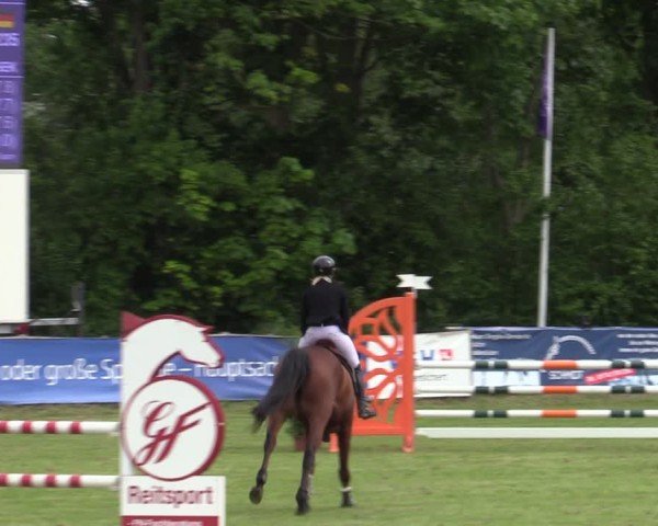 Reitturnier Scharnebeck 2025