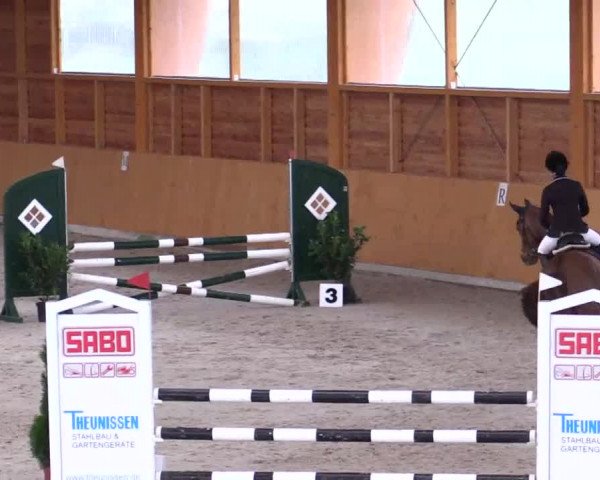 Hallenspringturnier Xanten - Reitanlage Miß 2014