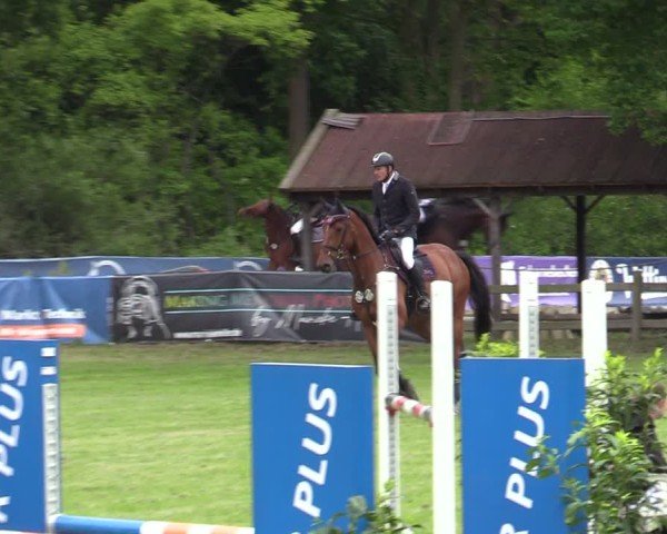 Reitturnier Scharnebeck 2025