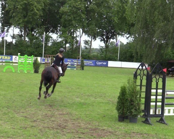 Reitturnier Scharnebeck 2025