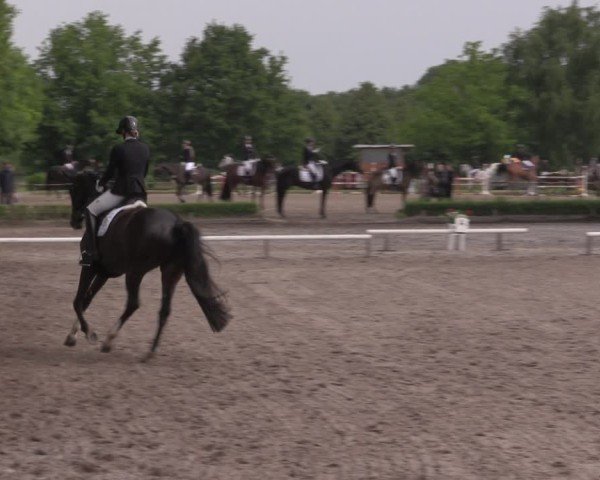 Reitturnier Hamm-Rhynern 2025