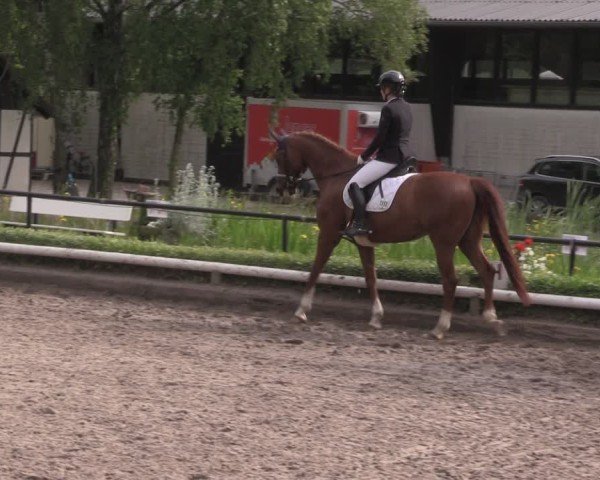 Reitturnier Hamm-Rhynern 2025