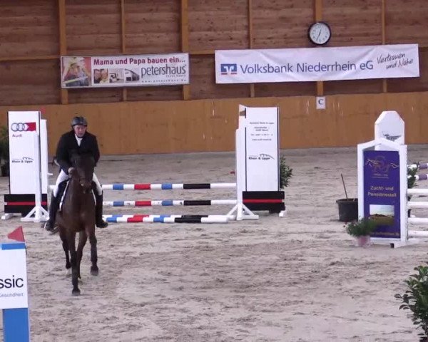 Hallenspringturnier Xanten - Reitanlage Miß 2014